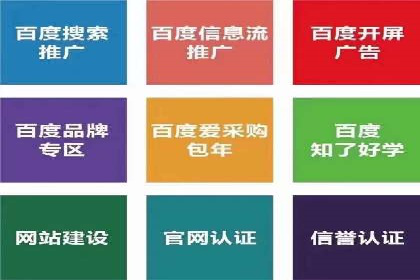 SEM推广代运营案例深度剖析